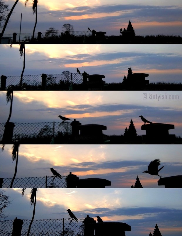 Chennai Mahabalipuram Travel Blog _ Kintyish.com_top best Indian fashion lifestyle travel blog blogger Himanshi Mukhija_4 Mahabalipuram Shore Temple Sunrise and Birds Silhoutte