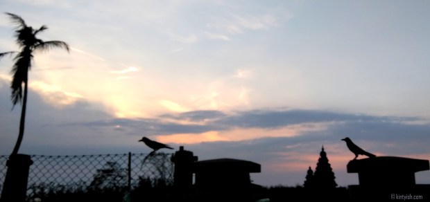 Chennai Mahabalipuram Travel Blog _ Kintyish.com_top best Indian fashion lifestyle travel blog blogger Himanshi Mukhija_5 Mahabalipuram Shore Temple Sunrise and Birds Silhoutte