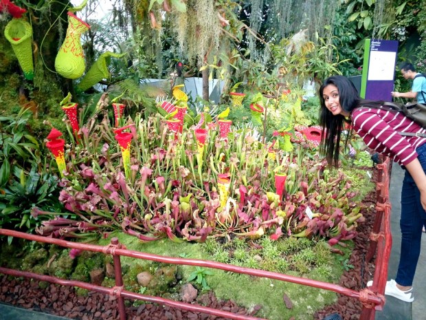 kintyish.com - indian best fashion blog best styling blog best travel blog - 10 things to do in Singapore_2 (1)new